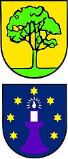 Die beiden Wappen von Pinache und Serres